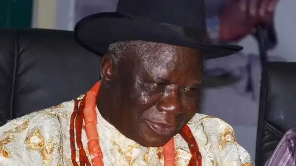 Division rocks Niger Delta ethnic groups over planned dialogue
